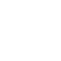 Ícone do Whatsapp no botão flutuante